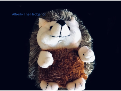 Topic - The Hedgehog | ShowMe Online Learning