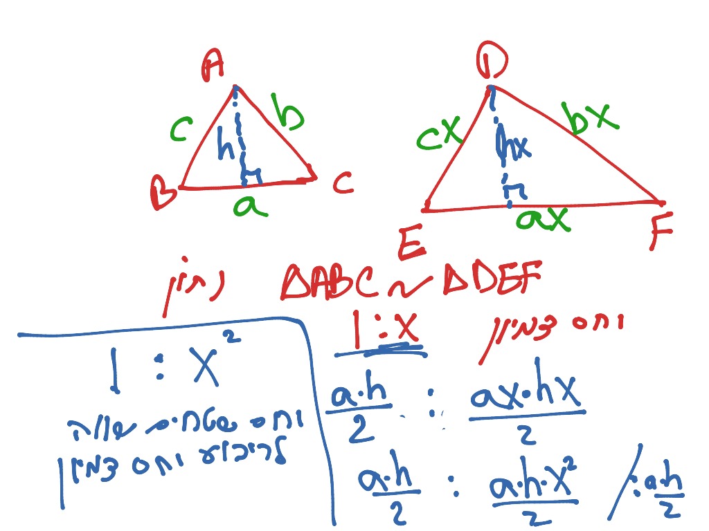 יחס היקפים ושטחים של משולשים דומים 
