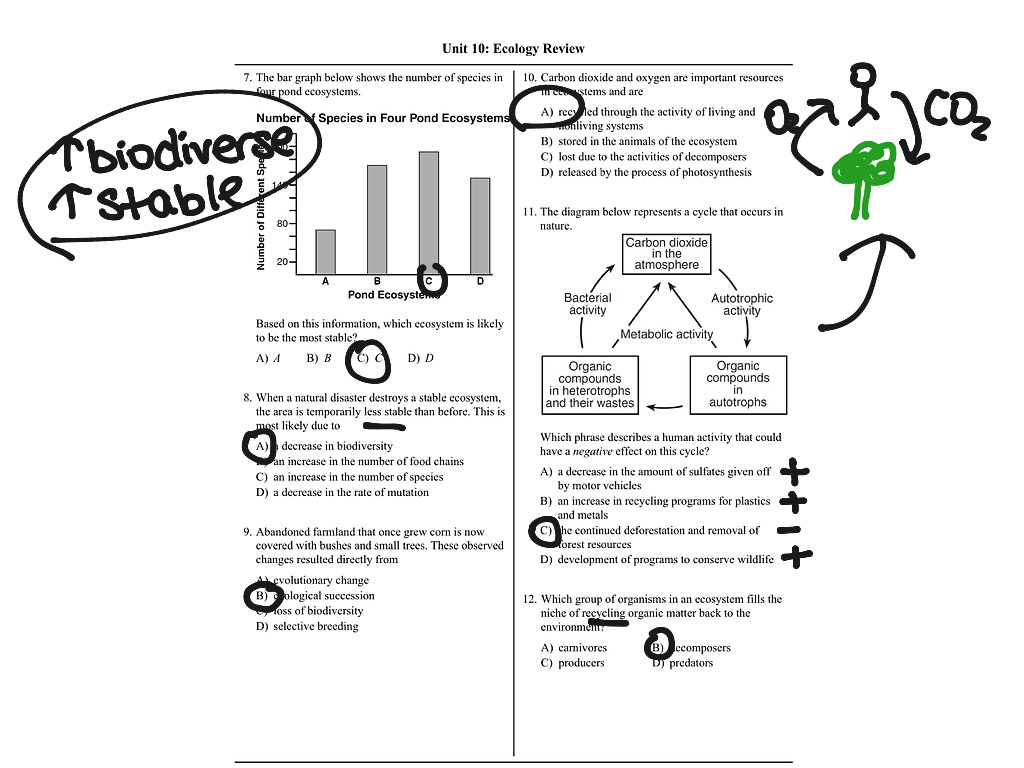 Ecology Review Answers 1-12 | Science | ShowMe