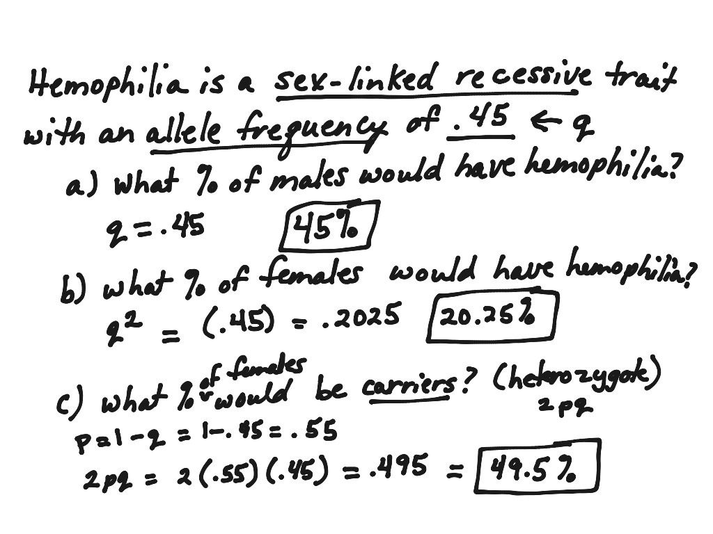 x-linked-recessive-hardy-weinberg-problems-science-genetics-showme