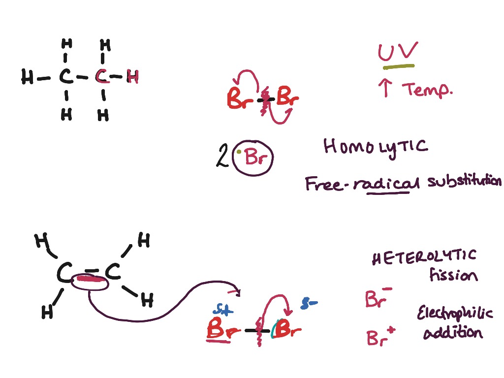 Homolytic And Heterolytic Fission Science Chemical Reactions Chemistry Showme