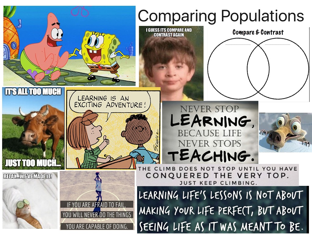Comparing Populations Math Statistics 7th Grade Math Samples And Populations Data Analysis