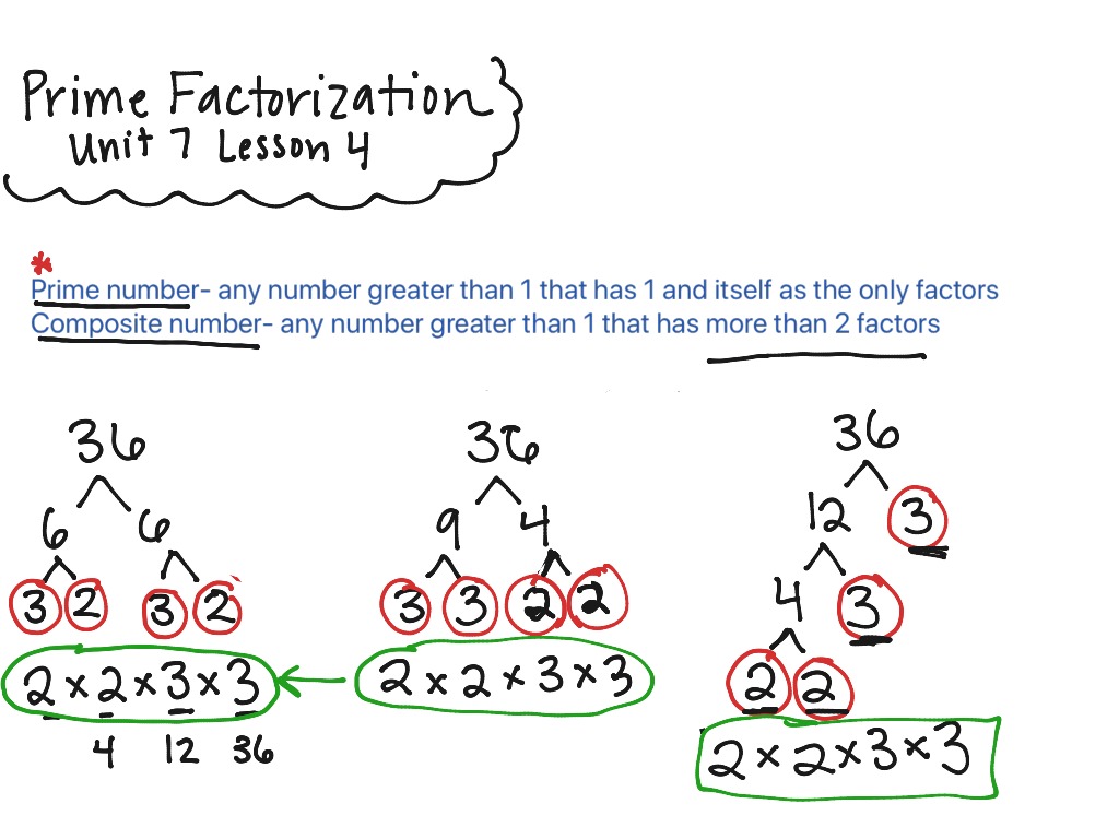 prime-factorization-math-showme