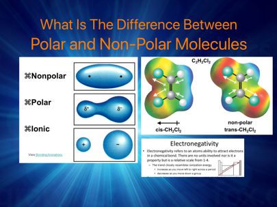 ShowMe - polar molecules