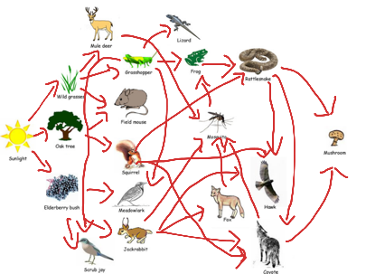 Topic - Environment | ShowMe Online Learning