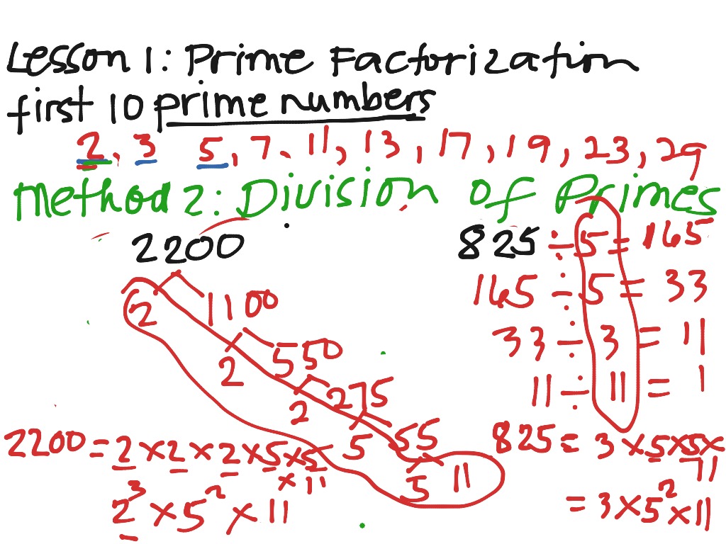 my homework lesson 1 prime factorization