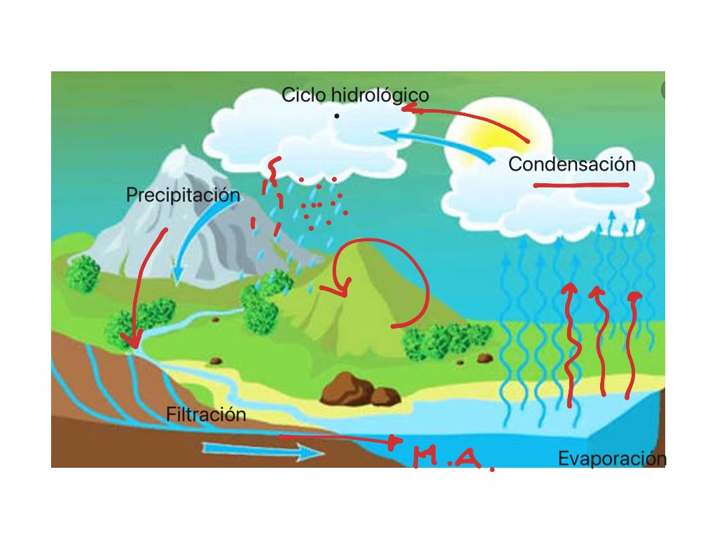 Ciclo hidrológico | Science, Earth-science, Water-cycle | ShowMe