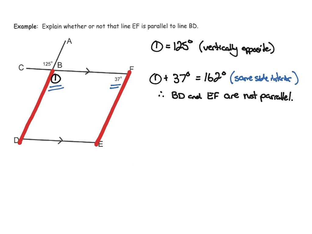 Angles formed by parallel lines | Math | ShowMe