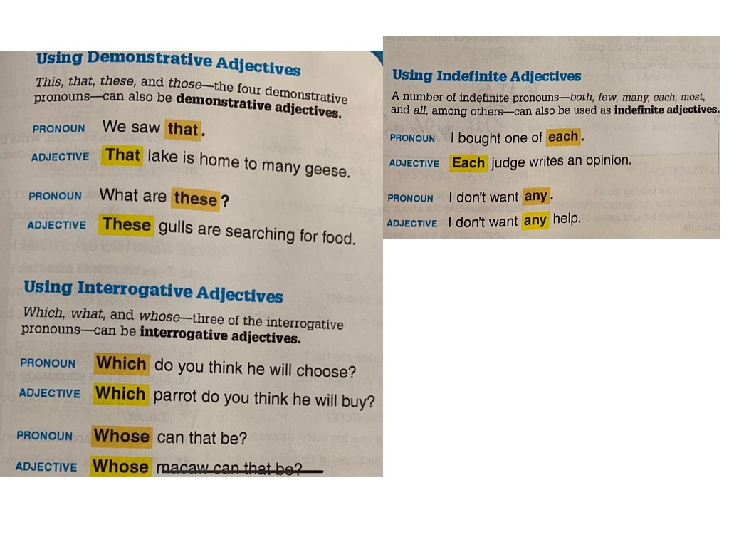 demonstrative-interrogative-indefinite-adjectives-practice-language-showme