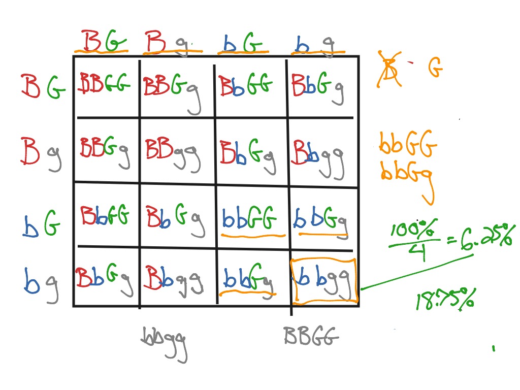 8b rq | Science, Human-body, Biology | ShowMe