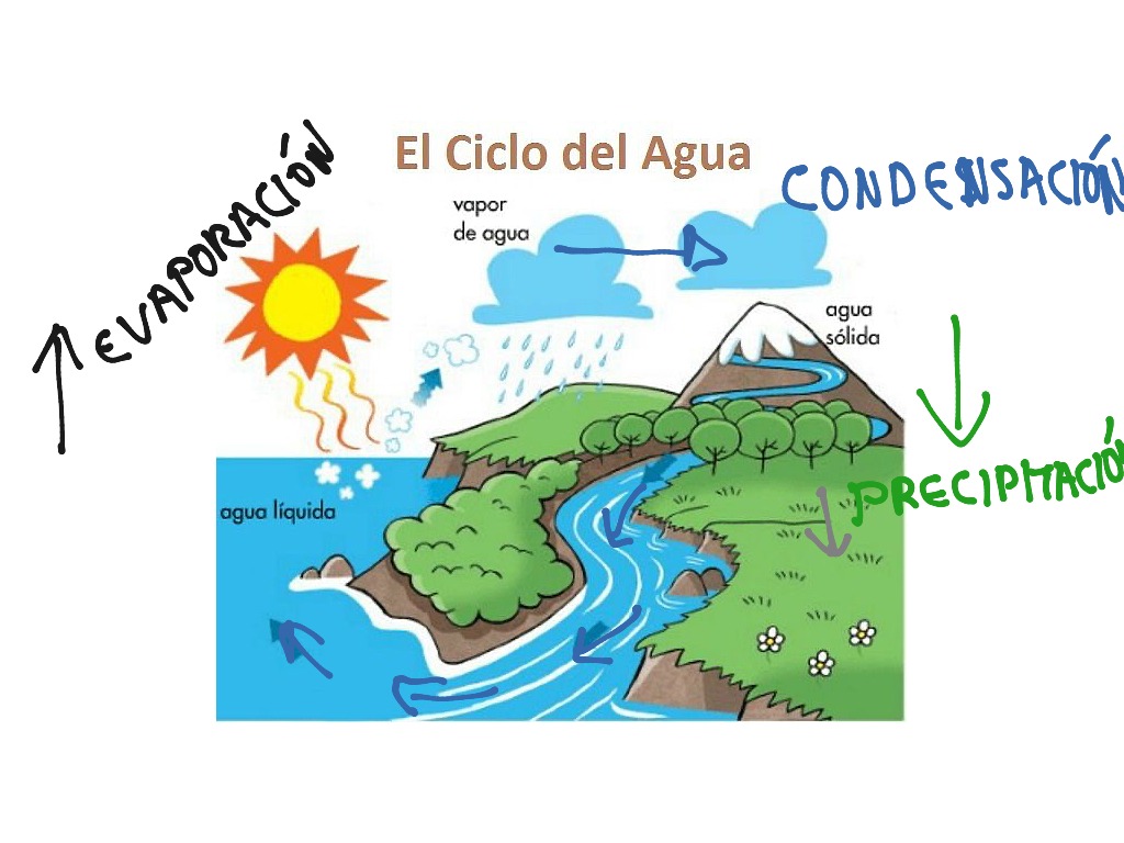 ciclo del agua | Science, Earth-science, Water-cycle | ShowMe