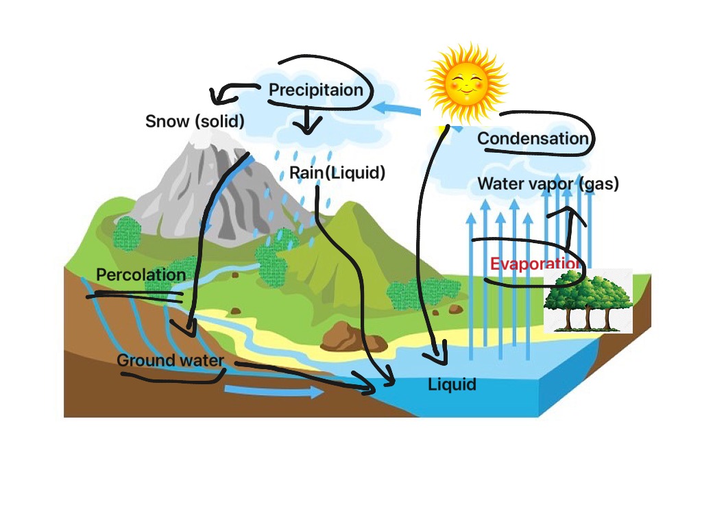 Water Cycle Science Showme