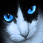 crator-avatar