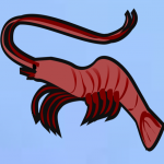 crator-avatar