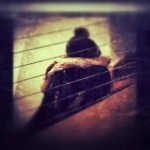 user-avatar