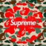 user-avatar