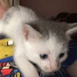 user-avatar