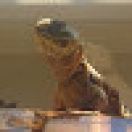 crator-avatar