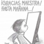 follower
