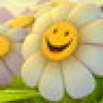 user-avatar